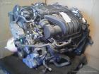 Motor komplett mit Anbauteilen; Motor komplett mit Anbauteilen, Engine; Octavia II 1Z; Typ 1Z ab 04/04 Limousine/Combi; BVY