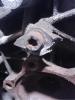 Getriebe; A6 (4F, 04 / 04-); Limousine / Avant / Allroad; GT-HGV Getriebe; A6 (4F, 04 / 04-); Limousine / Avant / Allroad; GT-HGV