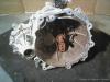 Getriebe, UP, 1.0 SRE, NTN, 0CF300043Q, 0CF300043QX, 0CF300044HX Getriebe, UP, 1.0 SRE, NTN, 0CF300043Q, 0CF300043QX, 0CF300044HX